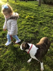 Walking Vikki's dog in Sutton Walking Vikki's dog in Sutton