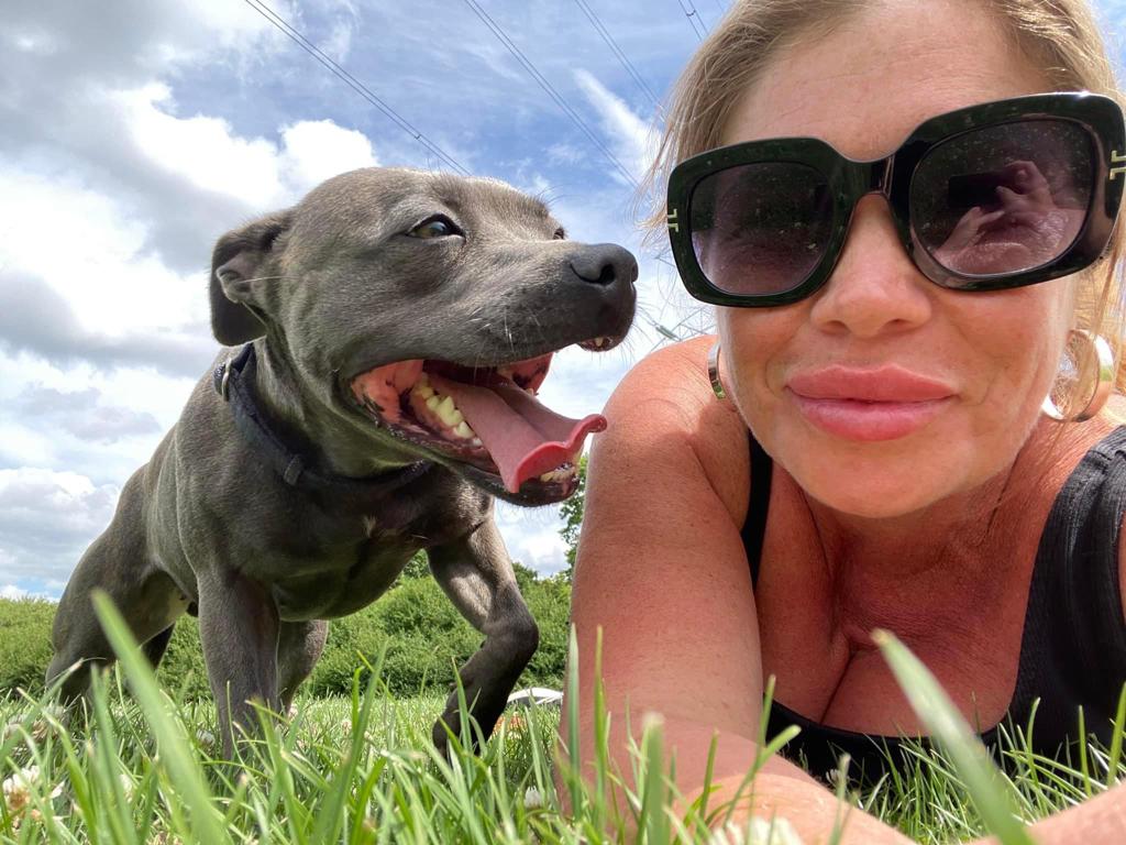 Dog walker in Sutton Surrey